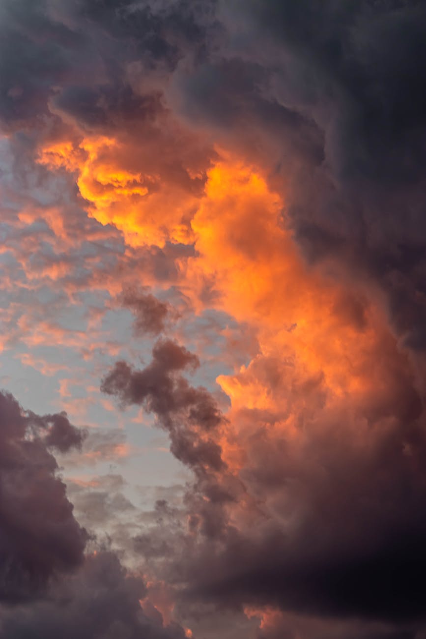 Van het leven&nbsp;genieten