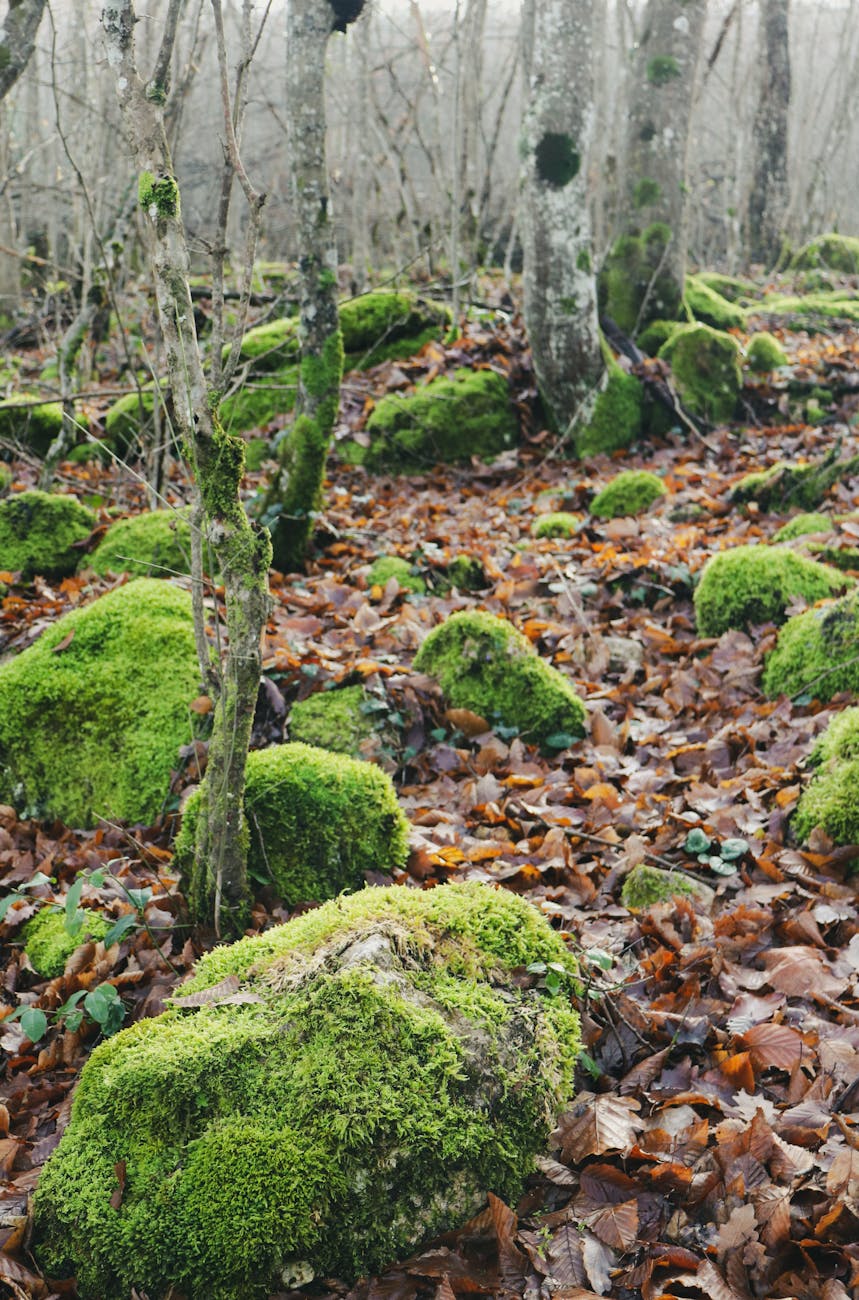 Vrede is geen passieve&nbsp;houding